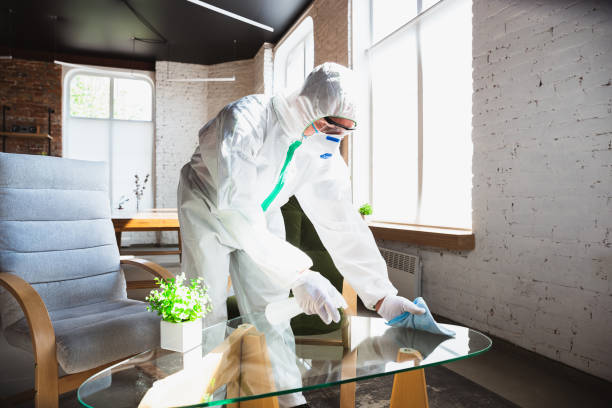 Why You Should Choose Our Mold Remediation Services in Cannelton, IN